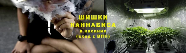 молекула духа Аркадак