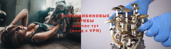 амф Армянск