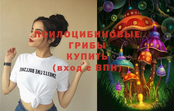 бутират Арсеньев