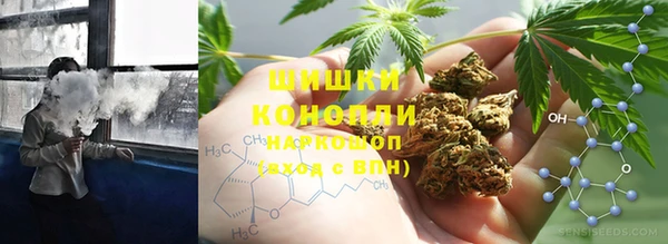 молекула духа Аркадак