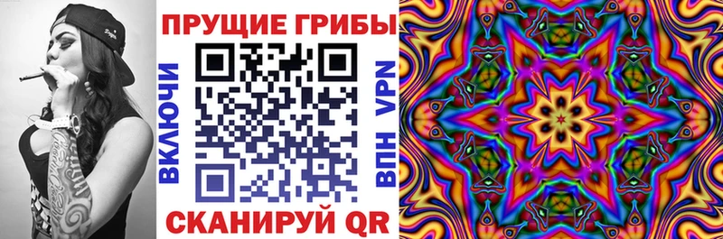 Галлюциногенные грибы Cubensis  Курлово 