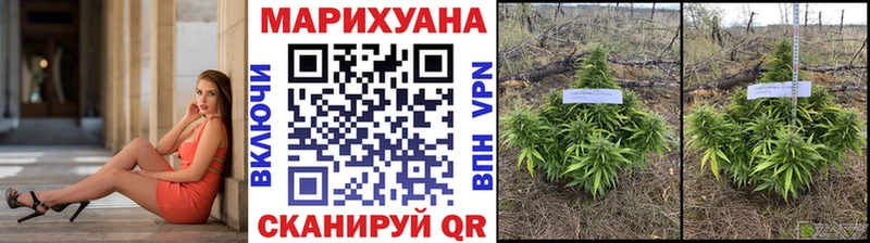 площадка формула  где купить наркоту  Курлово  Бошки Шишки AK-47 